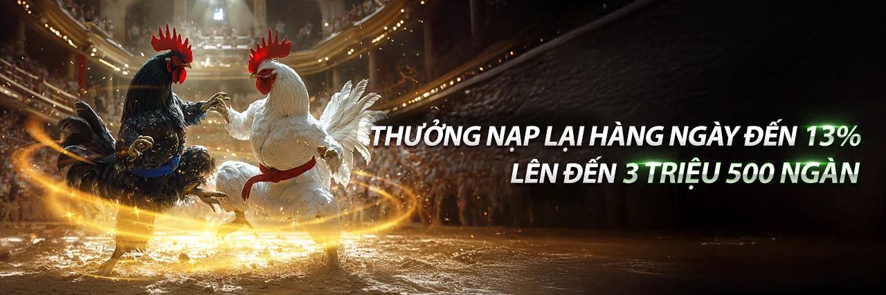 Sân đấu đá gà trực tuyến kuwin2 khuyến mãi 2026